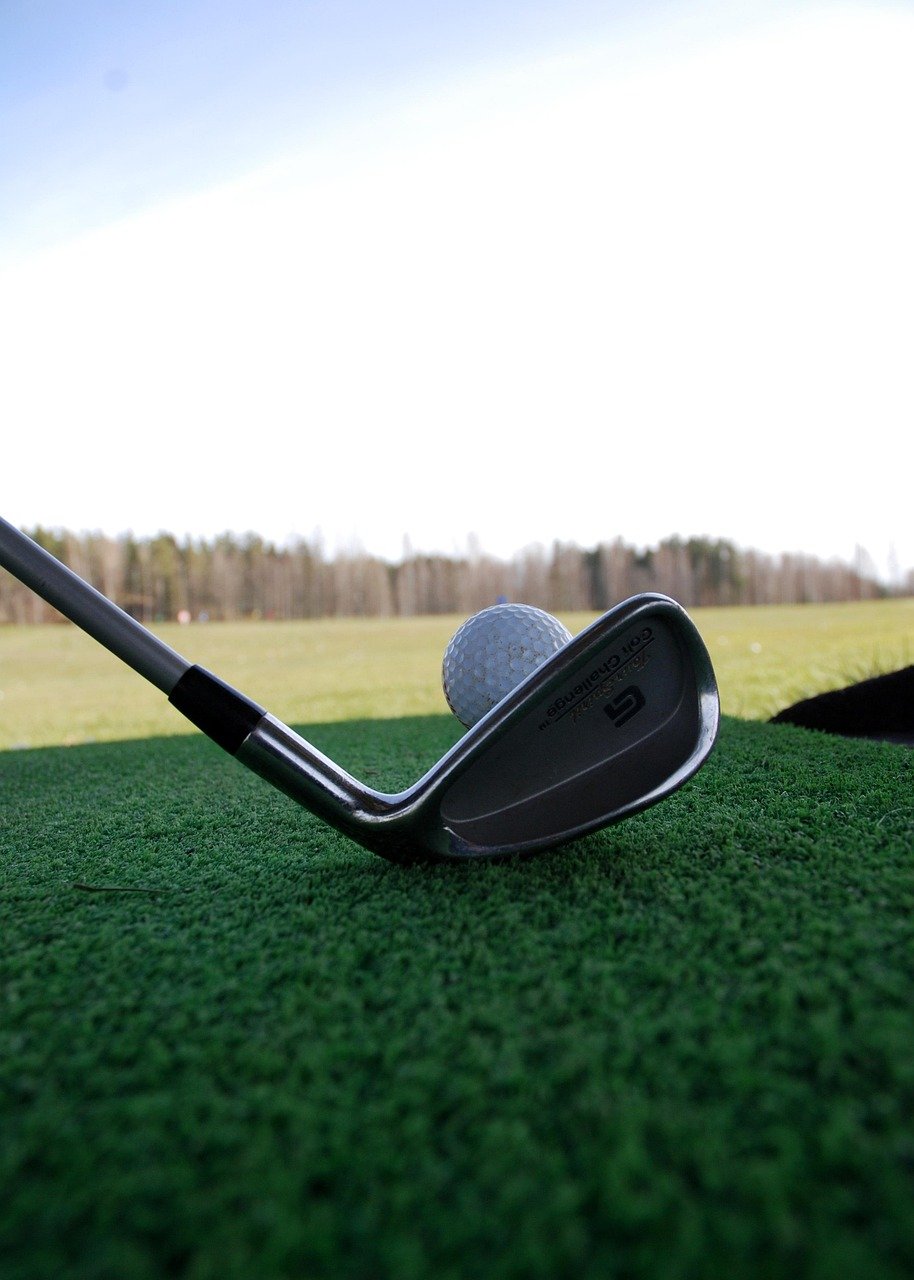 golf, the golf ball, grass, the use of the driving range, nature, the range, green, free time, golf club