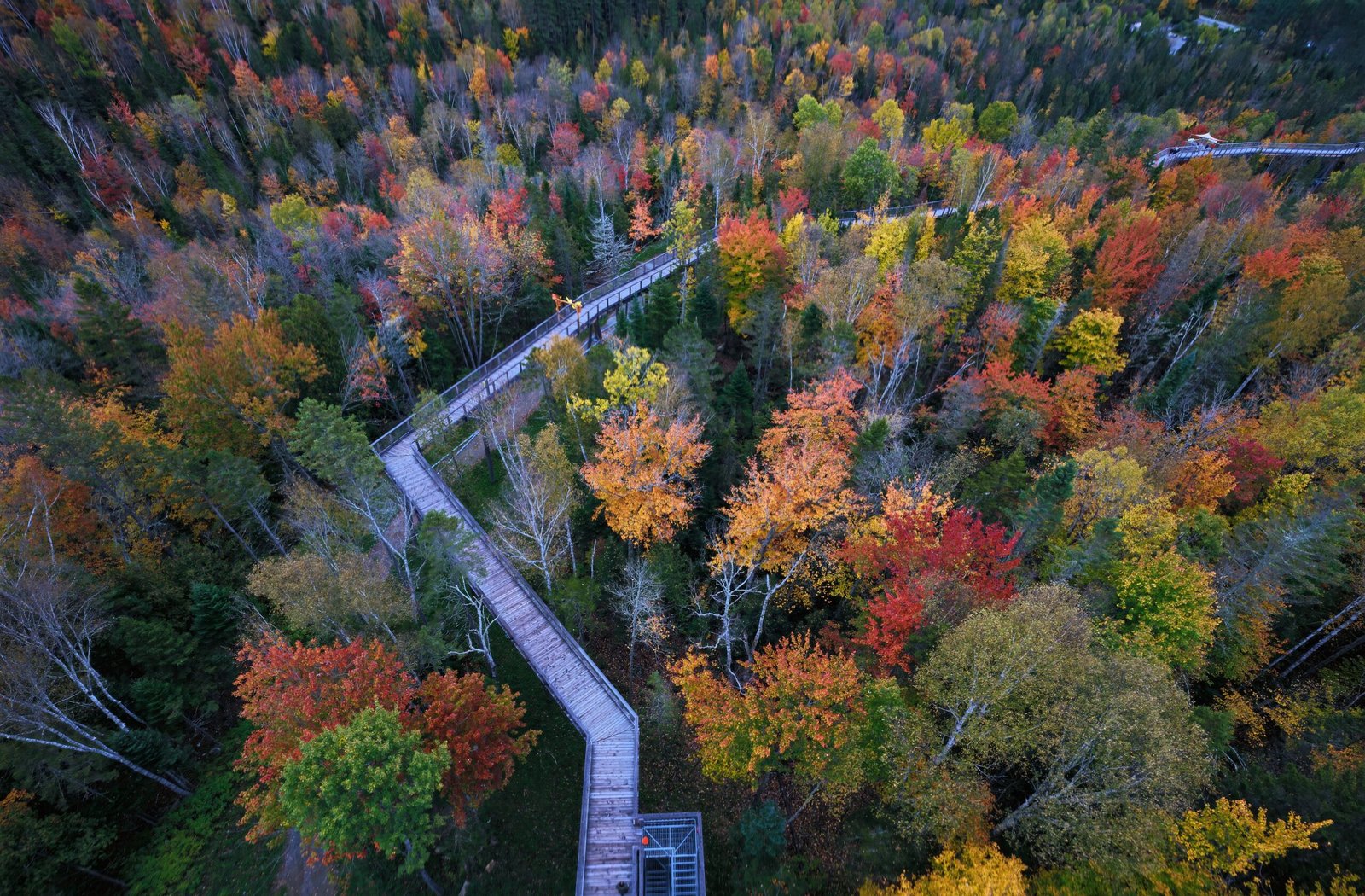 A scenic aerial view of a colorful autumn forest with a winding wooden path.